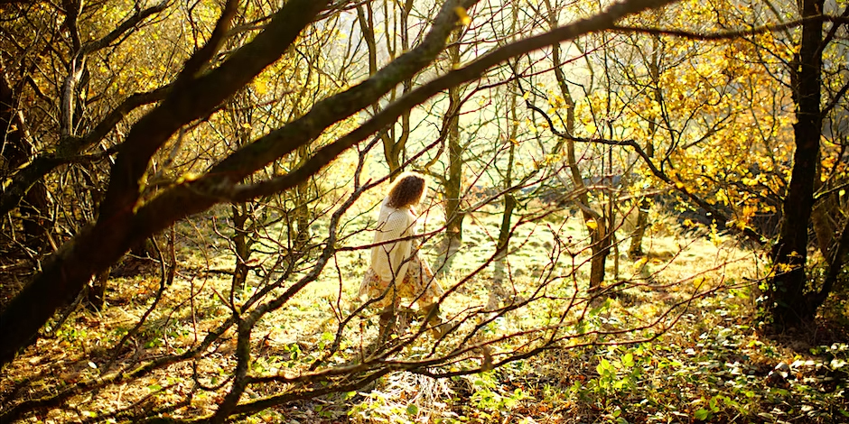 Photograph of the artist Alison Cooper walking through woodland. Alison is in the mid-ground and the trees are almost silhouetted against the golden light passing through them.