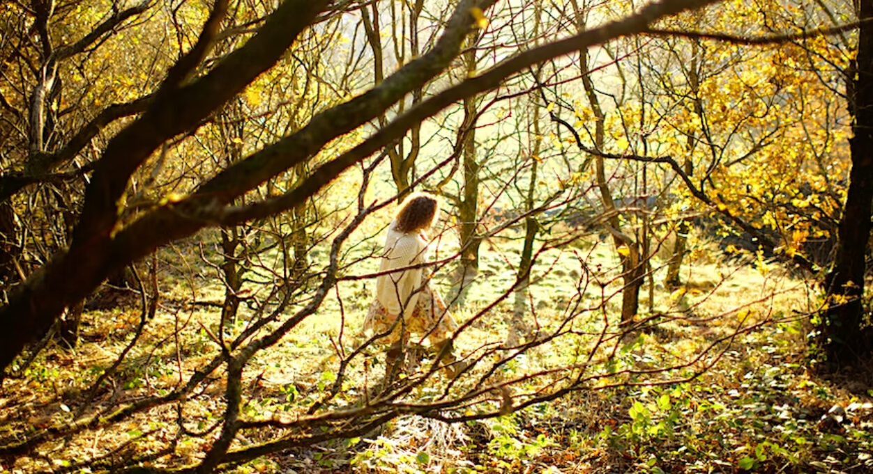 Photograph of the artist Alison Cooper walking through woodland. Alison is in the mid-ground and the trees are almost silhouetted against the golden light passing through them.